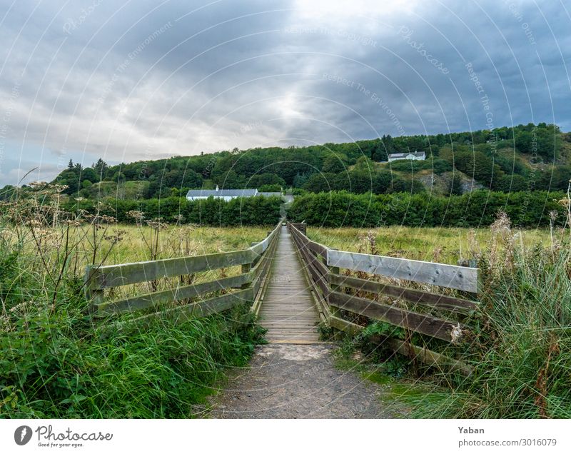 the way Vacation & Travel Hiking Meadow Field Coast North Sea Green Loneliness Footbridge Bridge railing Scotland Nature reserve Colour photo Exterior shot