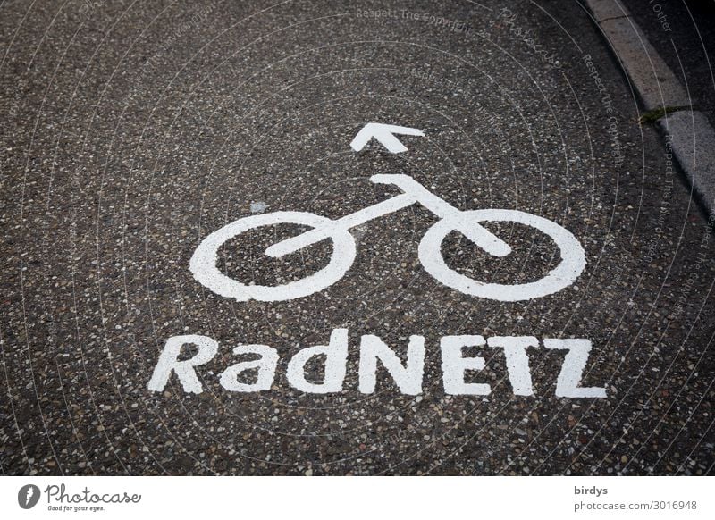 cycle paths Cycling Transport Traffic infrastructure Street Road sign Cycle path Bicycle Sign Characters Arrow Authentic Sustainability Positive Gray White