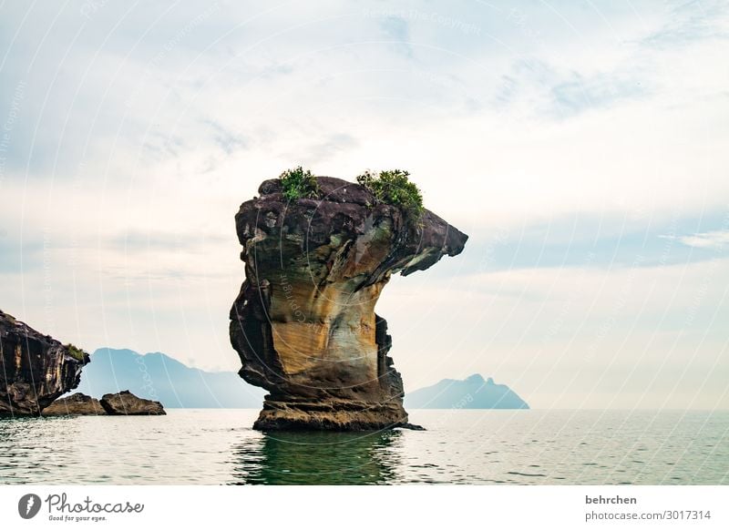 in a fascinating world Sunlight Contrast Colour photo Exterior shot Deserted Light Day Wanderlust pretty Impressive Bako National Park Sarawak Exceptional