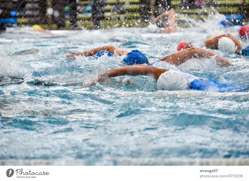 Triathlon- Swimming Sports Fitness Sports Training Sportsperson Sporting event Swimming & Bathing Sporting Complex Swimming pool Human being Masculine Man