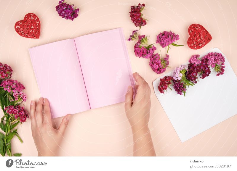 female hands and an open notebook with pink blank sheets Elegant Body Skin Valentine's Day Mother's Day Birthday Human being Woman Adults Arm Hand Fingers