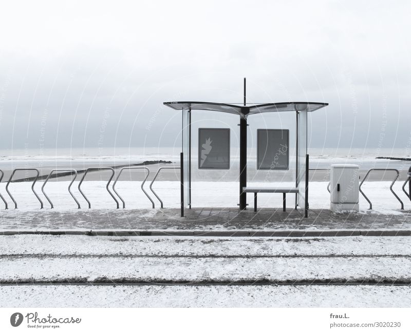 Kusttram City trip Beach Ocean Winter Snow Landscape Bad weather Coast North Sea Flanders Belgium Town Means of transport Passenger traffic Public transit Tram