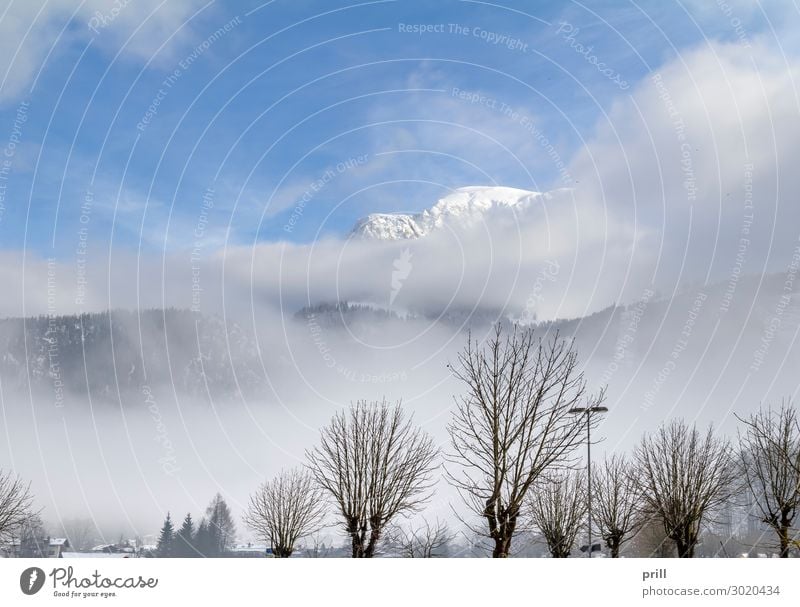 cloudy alpine scenery Winter Mountain Nature Clouds Fog Tree Forest Hill Alps Peak Wood Cold Peaceful Idyll Slope Bavaria Berchtesgaden Alpes Alpine Snow