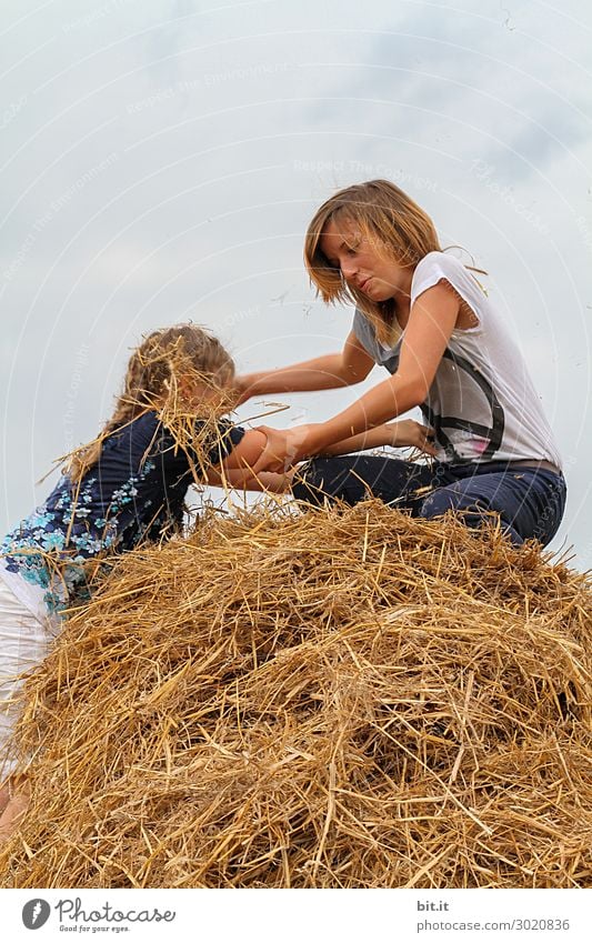 Fight for the last straw. Allergy Playing Vacation & Travel Summer Parenting Feminine Child girl Brothers and sisters Sister Family & Relations Friendship