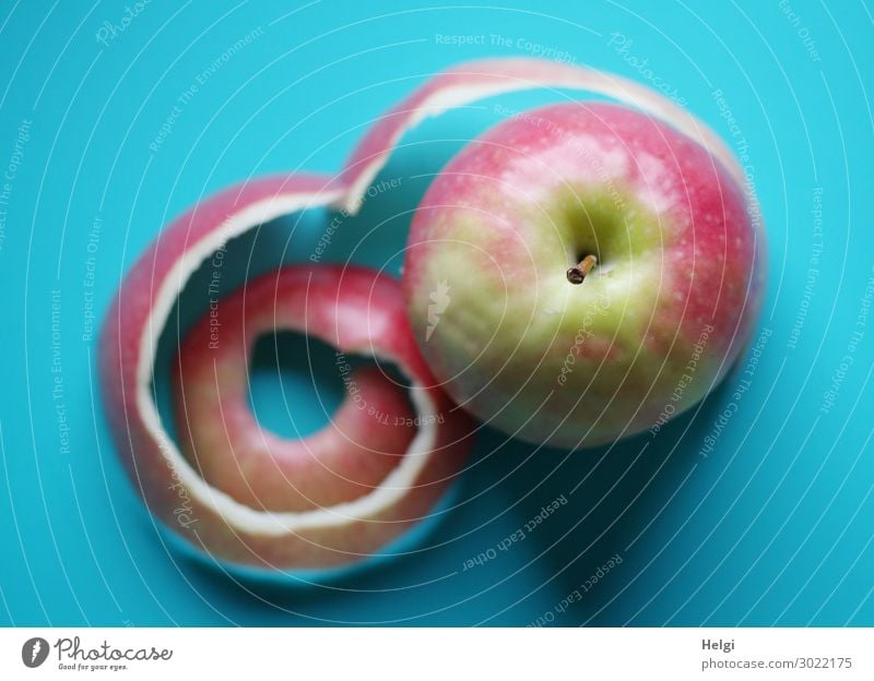 red-green apple with curled skin lies on a turquoise background Food Fruit Apple Apple skin Apple stalk Vegetarian diet Lie Exceptional Fresh Healthy Uniqueness