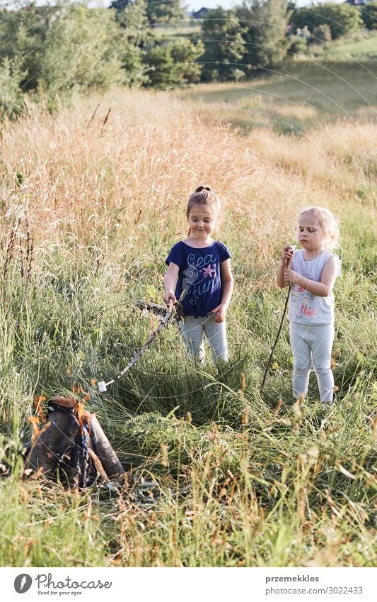 Little girls roasting marshmallows over a campfire Lifestyle Joy Happy Relaxation Vacation & Travel Summer Summer vacation Child Human being Girl Woman Adults