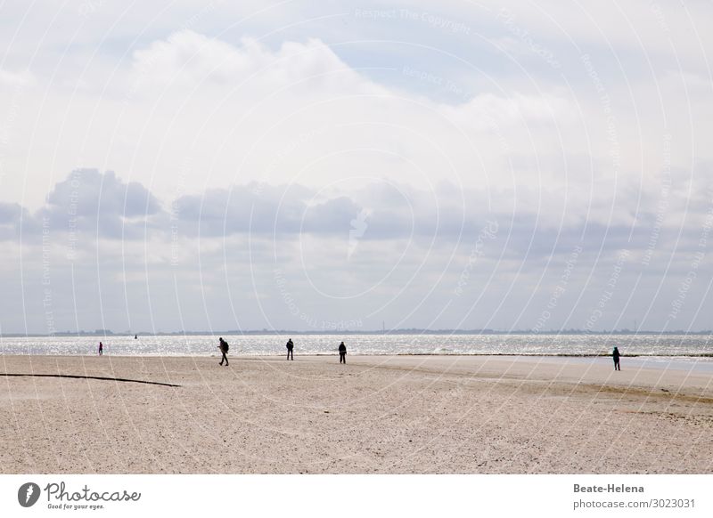 Walkers on the beach under cloudy skies Beach strollers white sand coastal strip Coast Landscape Vacation & Travel Water keep sb./sth. apart Corona virus