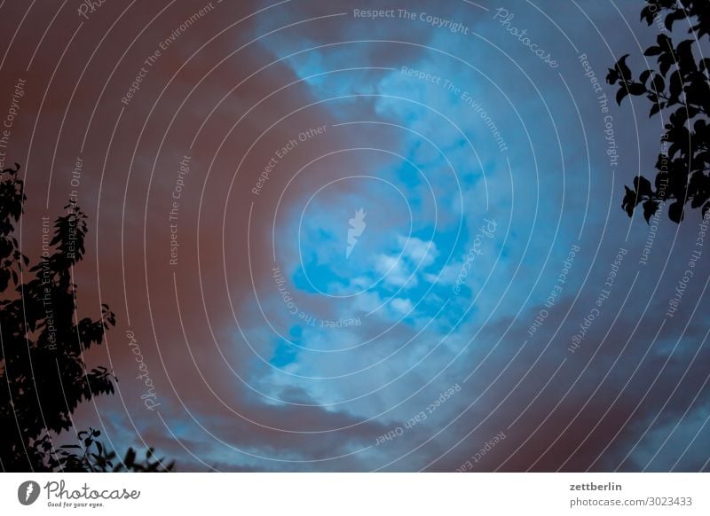 Clouds in the sky at night Evening Night Gap in the clouds Hollow Vista Summer night Branch Tree Garden Sky Heaven Night sky Garden plot Deserted Nature Bushes