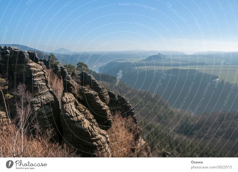 Saxon Switzerland Landscape Mountain Rock Nature Highlands Rock formation Forest Tree Vantage point Panorama (View) Elbsandstone mountains Saxony Hiking