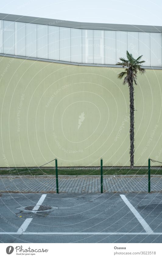 Palm tree in front of facade built Facade Parking lot Exterior shot Architecture Manmade structures Colour photo Deserted Window Sky Gloomy Wall (building) Gray