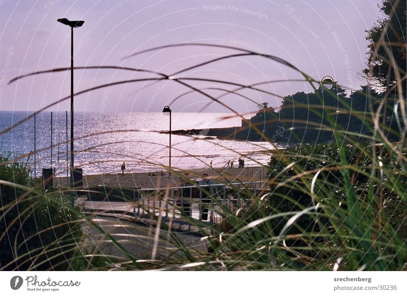 Evening mood in Pornic Vacation & Travel France Beach Dusk Grass Ocean Europe porn Nantes