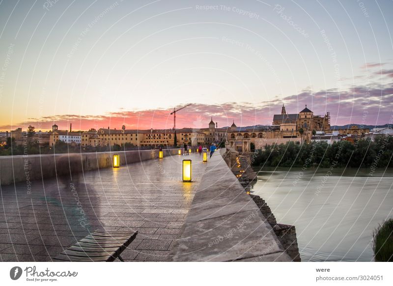 Evening view over the Roman bridge to the old town of Cordoba Old town Populated Bridge Facade Exceptional Vacation & Travel Andalusia Historic facades holiday