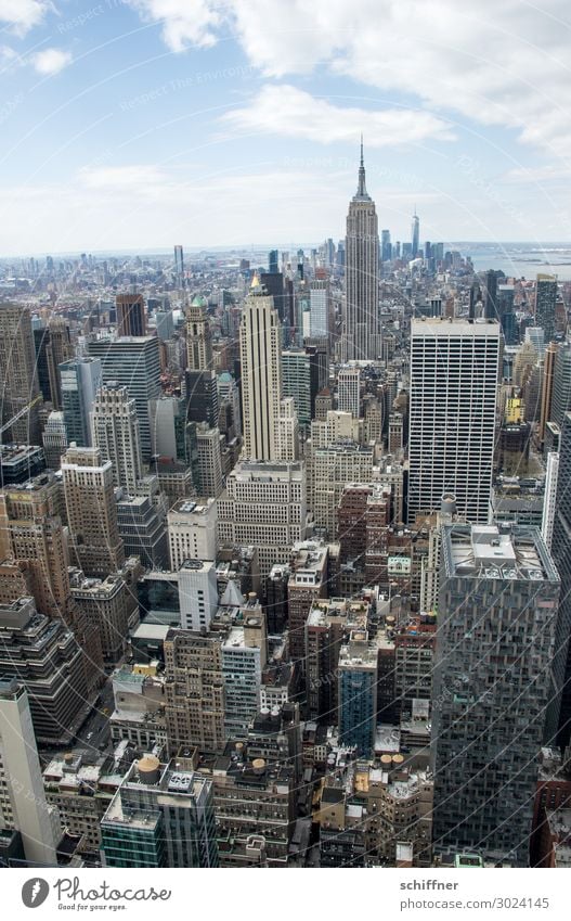 Manhattan - view of the Empire State Building New York City New York skyline Empire State building Rockefeller Center downtown manhattan metropolis USA