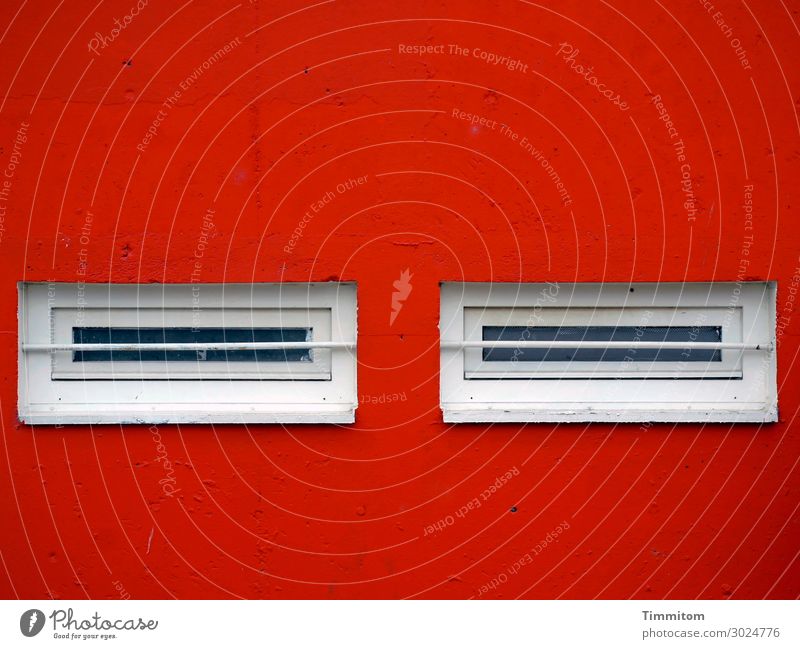 Please don't look at me like that... House (Residential Structure) Facade Window Concrete Glass Gold Line White Emotions Mistrust Protective Grating Impersonal