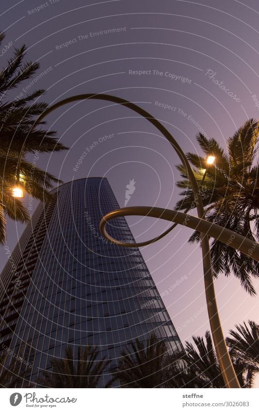 . Town Art Street lighting Lantern Whorl Palm tree San Diego High-rise purple clouds Colour photo Exterior shot Deserted Copy Space top Twilight Sunrise Sunset