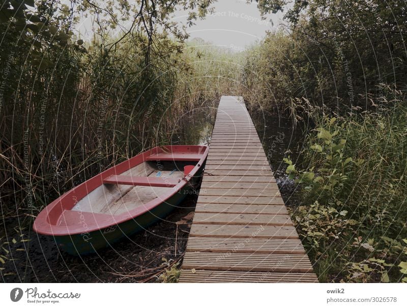 Decelerated Environment Nature Plant Beautiful weather Grass Bushes Lake Rowboat Footbridge Wood Relaxation Wait Simple Caution Serene Patient Calm Modest