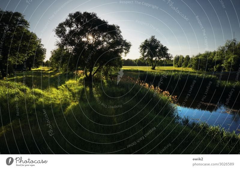 Channel full Environment Nature Landscape Plant Water Cloudless sky Horizon Spring Beautiful weather Tree Grass Bushes Brook Illuminate Caution Calm Idyll