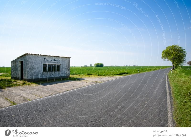 on the road again | Baltic Sea hinterland Building Shelter Traffic infrastructure Public transit Rush hour Road traffic Bus travel Street Country road Old