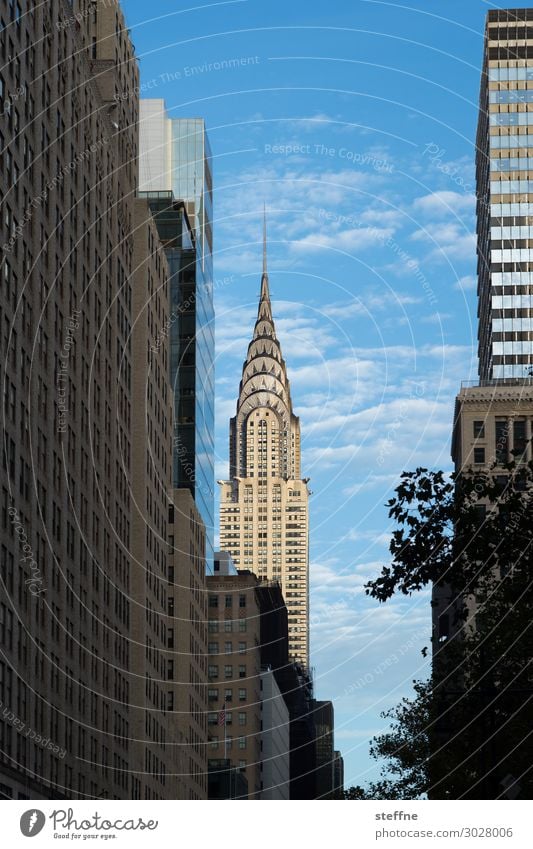 whirlier Town Downtown Skyline High-rise Facade New York City Chrysler Building Manhattan USA Tourist Attraction Tourism Blue sky Colour photo Exterior shot