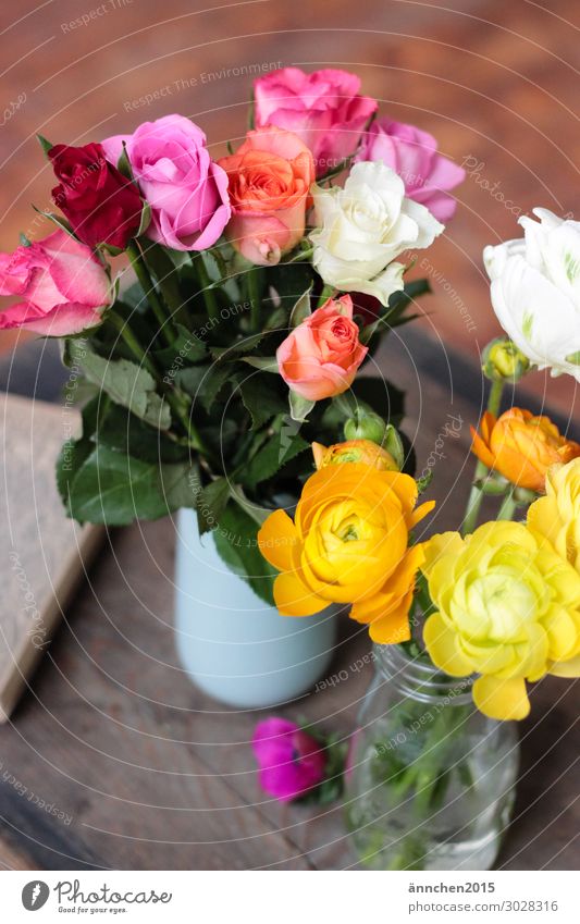 Colourful Decoration Interior shot Flower Blossom Multicoloured Pick Vase Wood Rose Pink White Money Orange Red