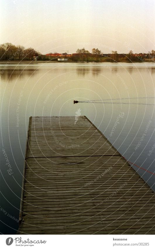 duck Brown Wood Footbridge Beautiful Lake Pond Duck Water Sky Lens Moody http://www.keasone.de