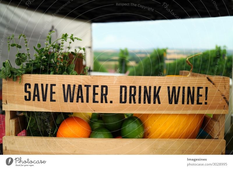 Save Water. Drink Wine. Wine wooden box with fruit and vineyard summer background. Variations of fruits and herbs (mint) in a wooden box with landscape of vineyard with green leaves in the background. funny drink concept.