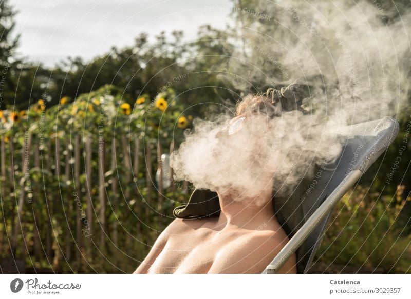 Young man in deck chair smoking to himself Smoking Masculine 1 Human being Nature Plant Summer Beautiful weather Tree Flower Leaf Blossom Sunflower Garden