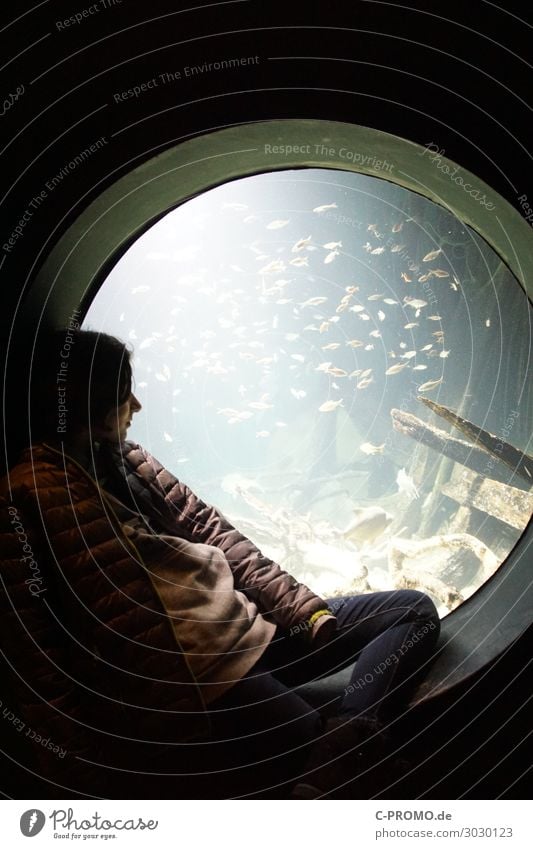 Girl sitting at the window of an aquarium Human being girl 1 8 - 13 years Child Infancy Water Jacket Wild animal Fish Aquarium Flock To enjoy Sit Calm