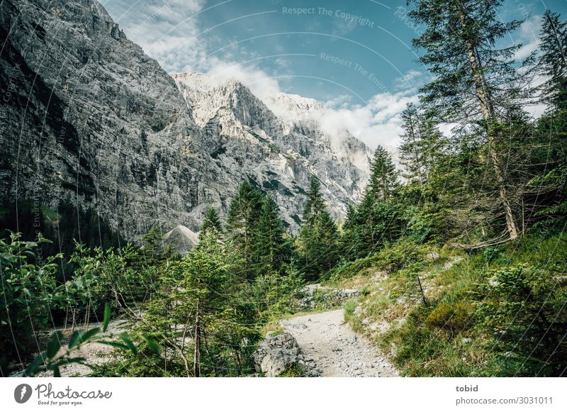 mountain idyll Nature Landscape Plant Sky Clouds Horizon Summer Beautiful weather Tree Grass Bushes Moss Forest Rock Alps Mountain Peak Snowcapped peak Glacier