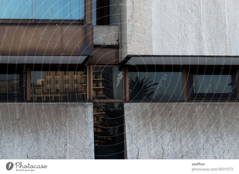 reflections Facade Town Crucifix Bari Apulia Italy Reflection Palm tree Vacation & Travel Concrete brutalism Architecture Colour photo Exterior shot Pattern