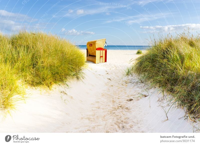 Access road to the beach at the Baltic Sea Leisure and hobbies Vacation & Travel Tourism Summer Sun Beach Ocean Waves Landscape Sand Water Clouds Spring Autumn