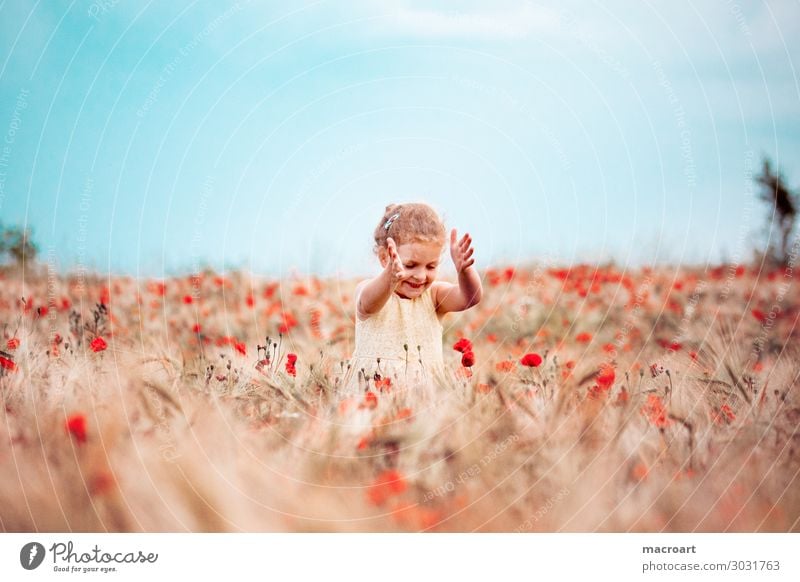 poppy blossom Poppy field Poppy blossom Child Girl Summer Spring White Dress Woman Feminine Stand Nature Natural Odor Flower Corn poppy Fragrance Joy Happiness