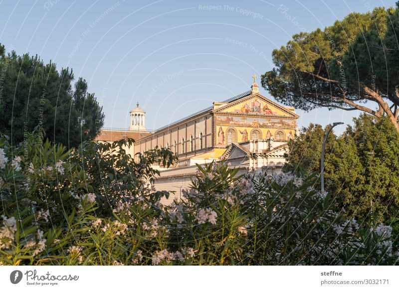 Chiesa 6 Church Dome Religion and faith pope Fresco Rome Romanesque style Italy ostiense Stone pine Blossoming Spirituality papal church Basilica