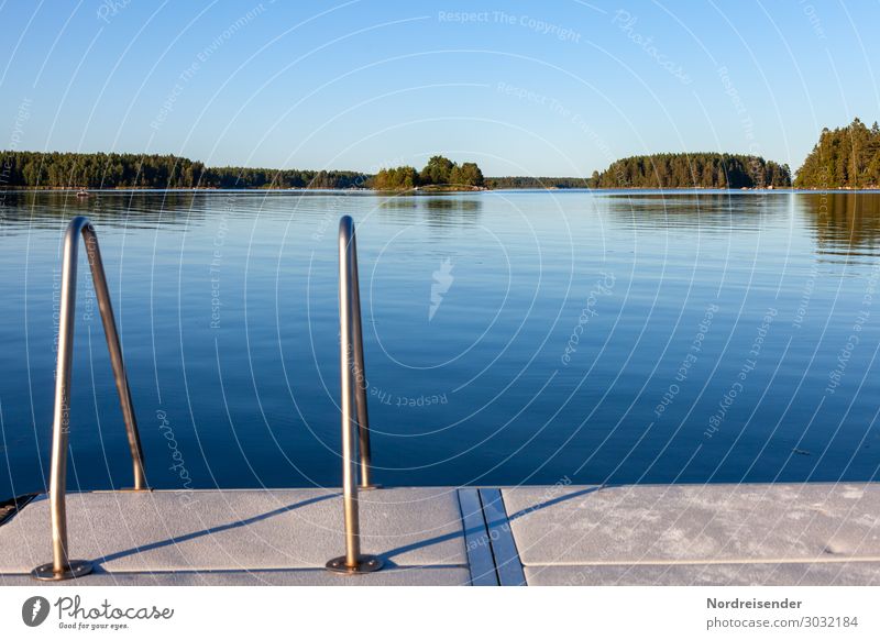 Bathing place in the archipelago Vacation & Travel Tourism Summer vacation Sun Island Nature Landscape Cloudless sky Sunlight Beautiful weather Tree Forest