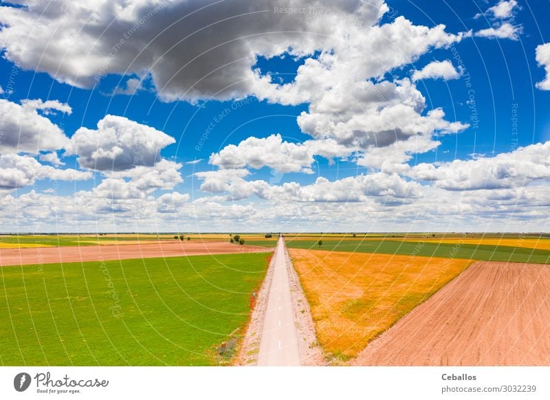 Agricultural fields in a village in Spain. Beautiful Summer Culture Nature Landscape Plant Grass Meadow Terrace Aircraft Growth Above Green Colour East Harvest