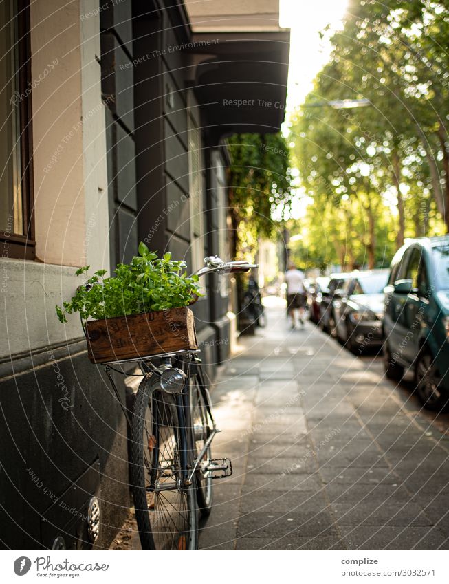 Bicycle with vintage herb wooden box Food Herbs and spices Nutrition Lunch Picnic Organic produce Vegetarian diet Italian Food Lifestyle Shopping Healthy Eating