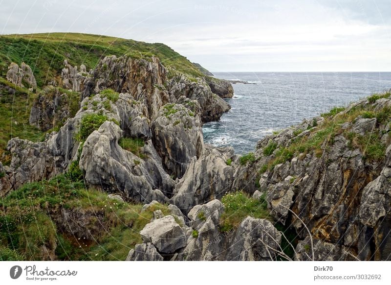 Cantabrian coast with overcast sky Vacation & Travel Tourism Summer vacation Ocean Waves Landscape Clouds Bad weather Flower Grass Bushes Meadow Rock Coast Bay