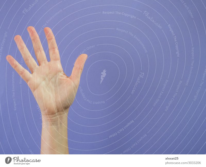 Hand with five fingers raised on purple background Success Human being Woman Adults Arm Fingers Peace 5 5th Caucasian communication Conceptual design Copy Space