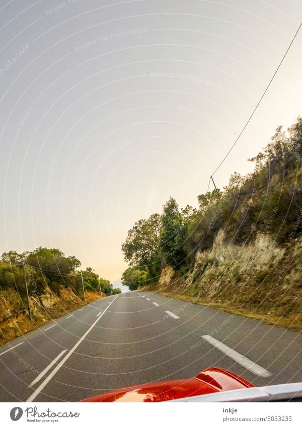 Cabrio ride airy. Lifestyle Luxury Trip Summer Environment Landscape Beautiful weather Tree Bushes Corsica Country road Transport Traffic infrastructure