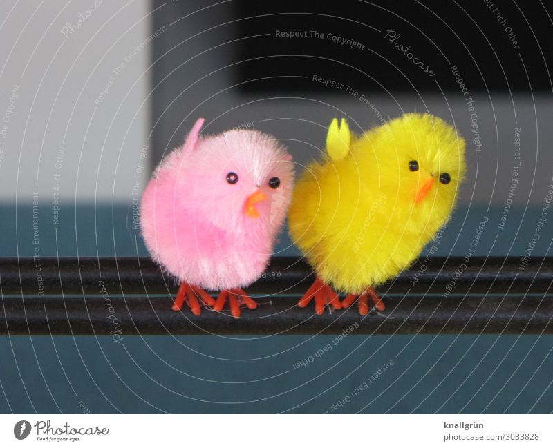 Weird birds Animal Bird 2 Stand Together Cute Yellow Orange Pink Emotions Sympathy Friendship Contact Tilt Decoration Soft Plush Button eyes Decorative birds