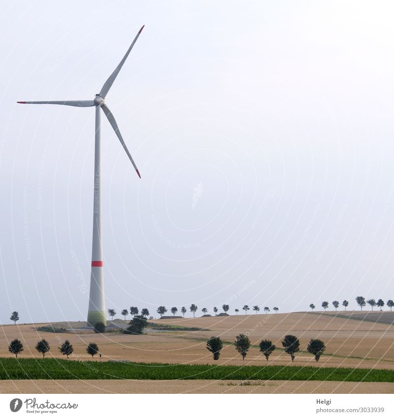 large wind turbine stands in a landscape with fields and seemingly tiny trees Technology Energy industry Renewable energy Wind energy plant Environment Nature