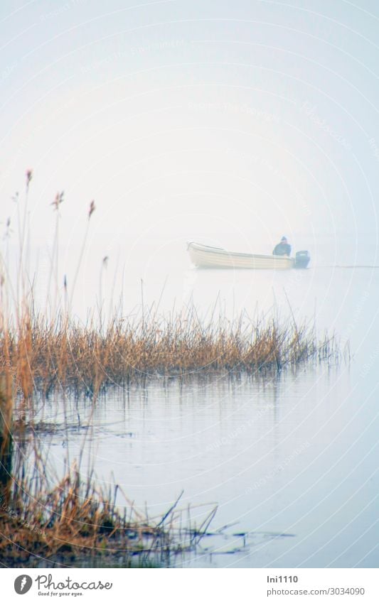 Fischer returns home Lakeside Blue Yellow Gray Black White Fisherman Watercraft Fishing (Angle) Common Reed Usedom Morning Shroud of fog Haze Motorboat Return