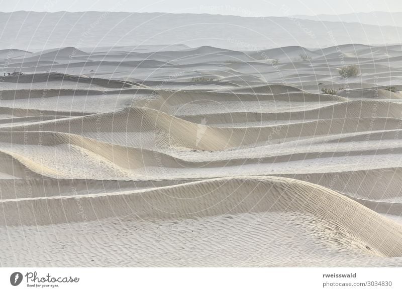 Misty dawn over sand dunes-TaklaMakan desert-Xinjiang-China-0344 Sun Environment Nature Landscape Sand Sunrise Sunset Autumn Climate Weather Fog Drought Desert