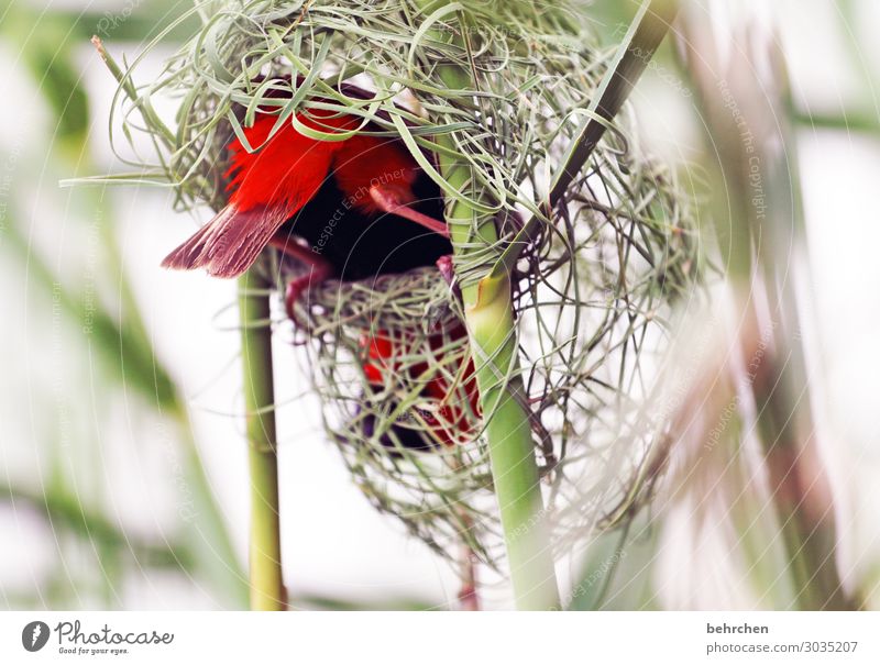 turned upside down | what does one not do everything for the own home Animal portrait blurriness Sunlight Contrast Light Exterior shot Close-up Detail Deserted