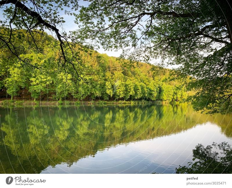 Dam idyll II Relaxation Calm Summer Nature Water Tree Forest Reservoir Fresh Wet Blue Green Orange Movement Loneliness Leisure and hobbies Idyll Break