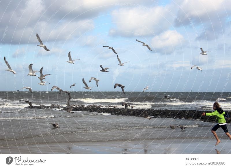 The seagulls drive away Vacation & Travel Beach Ocean Waves Parenting Development Child Boy (child) Infancy Youth (Young adults) Life Body 8 - 13 years Jacket