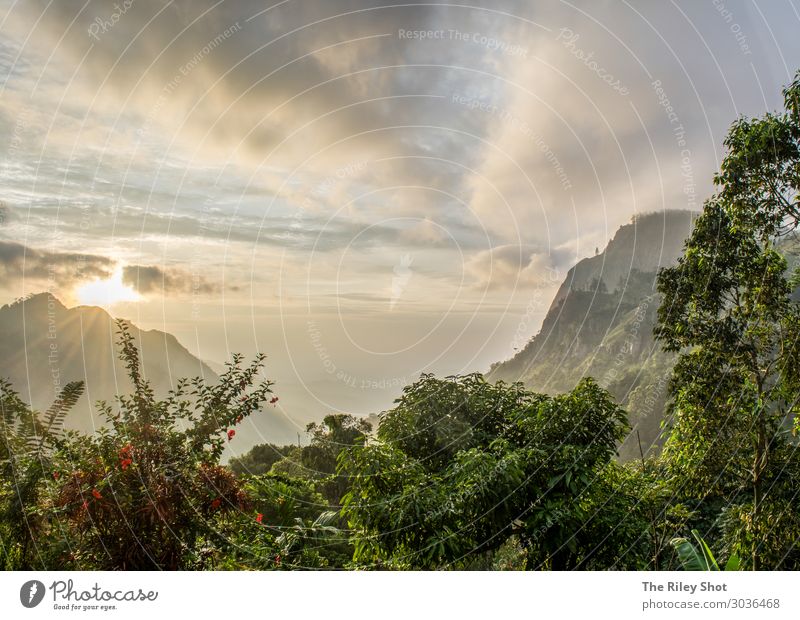 Sunrise in Ella, Sri Lanka Nature Landscape Earth Sunset Climate Beautiful weather Forest Mountain ella Hiking Natural Multicoloured Self-confident Effort