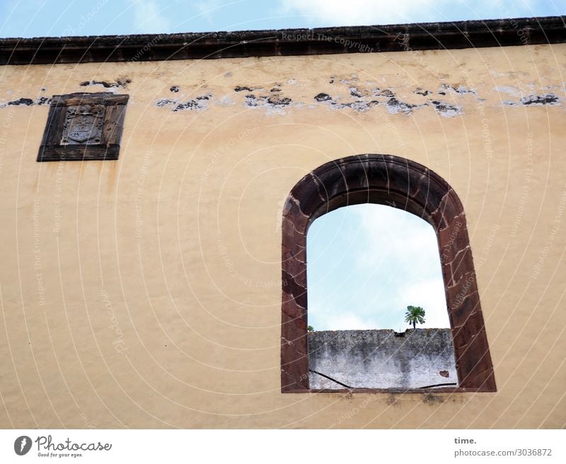 Airy in the room. Sky Beautiful weather Tree Palm tree Downtown House (Residential Structure) Church Ruin Architecture Wall (barrier) Wall (building) Facade