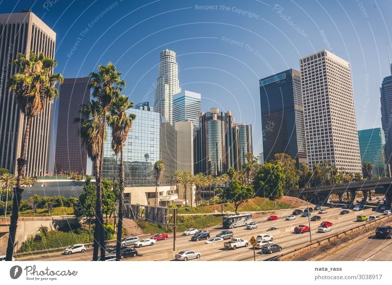 Los Angeles downtown los angeles skyline city california la daylight traffic palm tree travel american usa freeway united states cars blue buildings urban