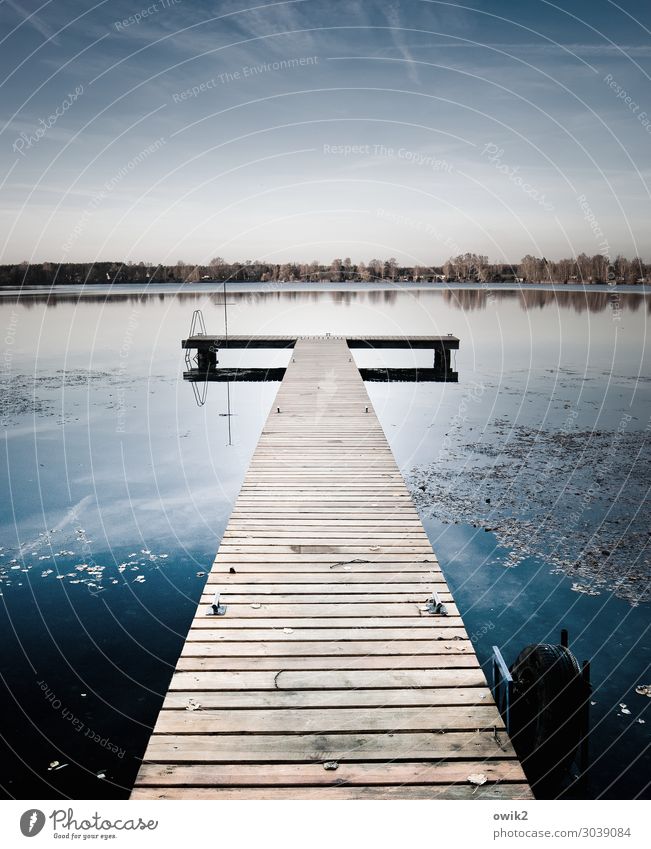 runway Environment Nature Landscape Water Cloudless sky Horizon Beautiful weather Aquatic plant Forest Lakeside Olba Lausitz forest Saxony Germany Footbridge